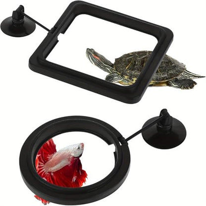 2PCS Fish Aquarium Feeding Ring Aquarium Feeding Ring Fish Tank Station Floating Food Tray Feeder Square Circle Accessories Foods Feeder with Suction Cup（Black）