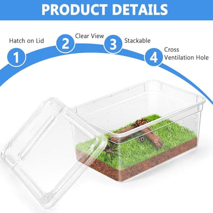 Small Jumping Spider Enclosure - 6 Pack Spider Terrariums, Breeding Box, Transparent Hatching Container, Plastic Feeding Box - 6 Pcs Super Mini