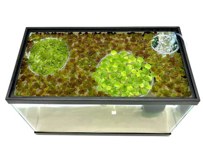 Magnetic Invisible Feeding Ring (Customizable and Auto-Leveling) Food Portal for Floating Plant Aquariums and Fish Tanks (Two-Pack)