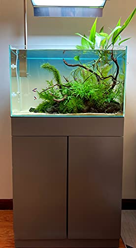 Allcolor Artisan Grade Ultra Clear Rimless Aquarium Tank (21Gal) | Low Iron Glass Fish Tank for Professional Aquascaping and Planted Layouts, 6-60 Gallons (21Gal - Top Glass Canopy) - size: 21Gal 23.6"L×13.7"W×14.9"H