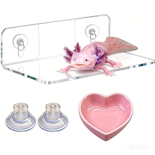 Axolotl Hammock Ledge with Heart-Shaped Ceramic Feeding Bowl - Upgraded Dual Suction Cup Resting Platform - Premium Acrylic Amphibian Tank Accessories for Salamanders, Newts, Geckos & Frogs