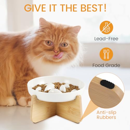 PETTOM Slow Feeder Cat Bowl with Stand, Ceramic Slow Eating Cat Bowl with Higher Edges Fish Pool Design Elevated Food Bowls for Dry and Wet Food Anti-Vomiting Puzzle Feeder for Healthy Eating Diet - color: White