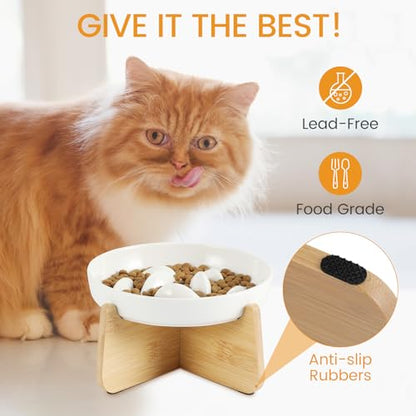 PETTOM Slow Feeder Cat Bowl with Stand, Ceramic Slow Eating Cat Bowl with Higher Edges Fish Pool Design Elevated Food Bowls for Dry and Wet Food Anti-Vomiting Puzzle Feeder for Healthy Eating Diet - color: White