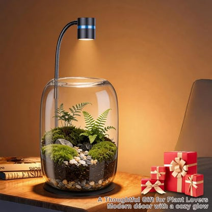 Glass Plant Terrarium with LED Grow Light, Grow Light for Terrarium, Small Desktop Indoor Planter for Venus Fly Trap, Moss & Succulents, Borosilicate Decor Jar for Plant Lovers