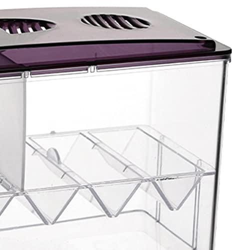 Aquarium Breeding Box Hatchery Newborn Tank 3-Chamber Acrylic Guppy Fry Isolator 8.54x3.94x5.12inch