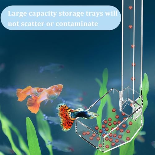 Aquatic Fish Feeding Disk - Glass Shrimp Feeder Tube Set, Clear Suction Cup Feeder Tray, Tank Feeding Station | Aquarium Care Tool for Pets | Easy Feed Solution for Shrimp Fish Snails - size: 17CM feeding tube + cleaning brush + feed spoon