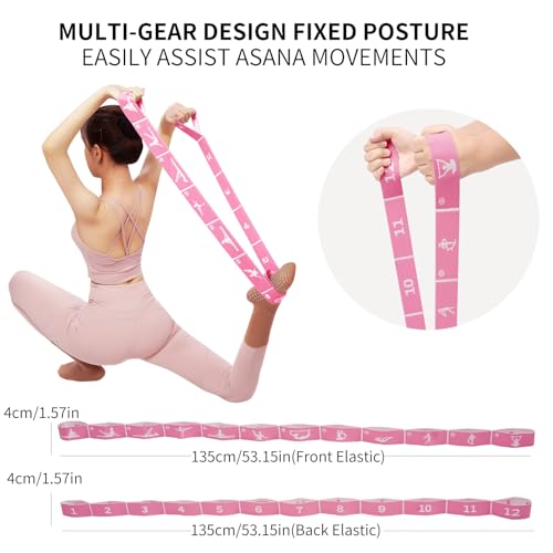 Yoga Strap with 10/12 Loops - Multi-Functional Stretch Band for Pilates, Dance, Gymnastics, Physical Therapy, Flexibility & Resistance Training, Ballet, Latin Workouts - color: Pink