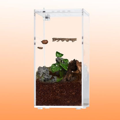 Jumping Spider Hideout and Feeding Dish, 3 in 1 Nut Shaped Hide Cave Sets for Spider Playing Feeding Climbing, Enclosure Accessories