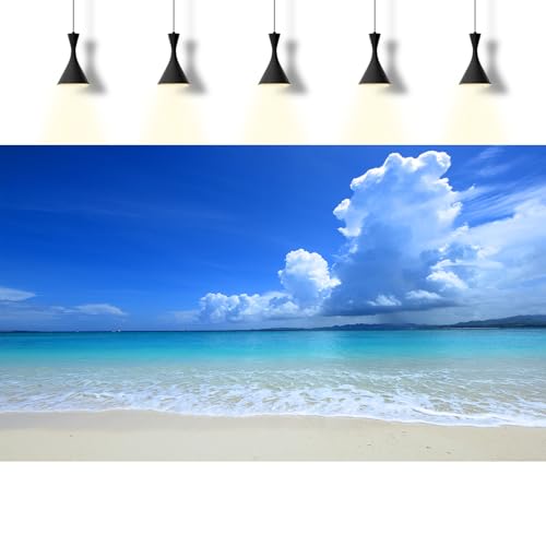 Tropical Beach Aquarium Background Ocean Sea Sandbeach Fish Tank Background Ocean Seascape Terrarium Backgrounds Sunny Blue Sky Clouds Seacoast Ocean Sea Waves Reptile Tank Backgrounds 24x16in - color: Blue, size: 24(W)x16(H)inches/ 60(W)*40cm(H)