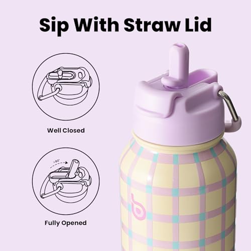 BOTTLE BOTTLE 32oz Insulated Water Bottle with Pill Box | Stainless Steel,Sport Water Bottle, with Straw Dual-use Lid and Pill Box, Design for Gym - color: VivaBands