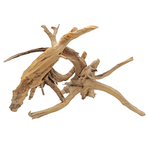 Hamiledyi 7-10in Natural Aquarium Driftwood 2PCS Large Reptile Spider Wood Ornament Assorted Branches Natural Driftwood Log Fish Tank Decoration - size: Large:spiderwood 7-10in 2PCS
