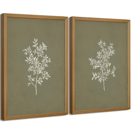 Vintage Botanical Wall Art Decor Sketch Plant Prints Sage Green Pictures - color: Green Floral Wall Art, size: 12"x16" Framed