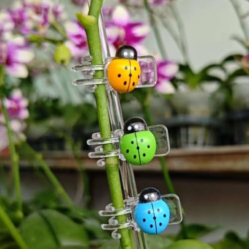 62pcs Orchid Clips Colorful Butterfly Plant Clips Ladybug Orchid Support Clips Dragonfly Vine Clips Garden Plant Vine Flower Clips