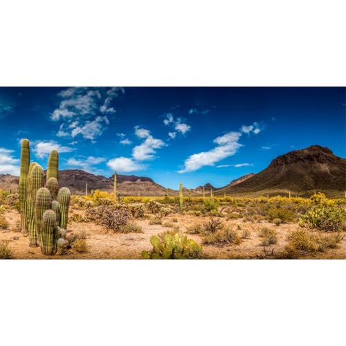 AWERT 24x16 inches Reptile Habitat Background Blue Sky Oasis Cactus Desert Terrarium Background Vinyl - size: 24x16in/60x40cm