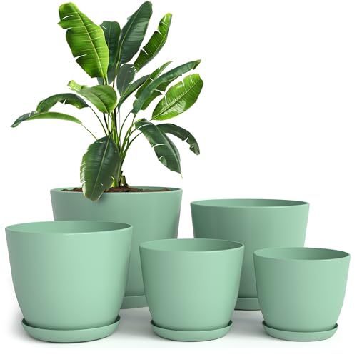 Utopia Home - Plant Pots Indoor with Drainage - 7/6.6/6/5.3/4.8 Inches Home Decor Flower Pots for Indoor Planter - Pack of 5 Plastic Planters for Indoor Plants, Cactus, Succulents Pot - Mint | Drainage holes included Multiple sizes 7/6.6/6/5.3/4.8 In Indo
