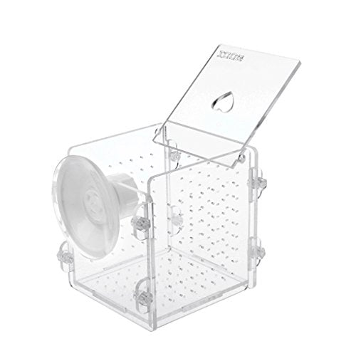 Fish Breeding Box Clear Acrylic Fish Isolation Boxes Aquarium Hatchery Incubator with Suction Cup for Newborn Shrimp
