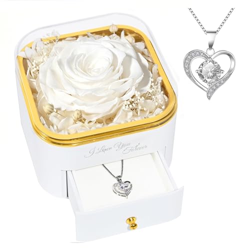 Beferr Birthday Gifts for Women Preserved Real Rose with Necklace Eternal Roses Forever Flowers for Delivery Anniversary Mothers Gifts for Mom Her Grandma Wife Sister from Daughter Son - color: White