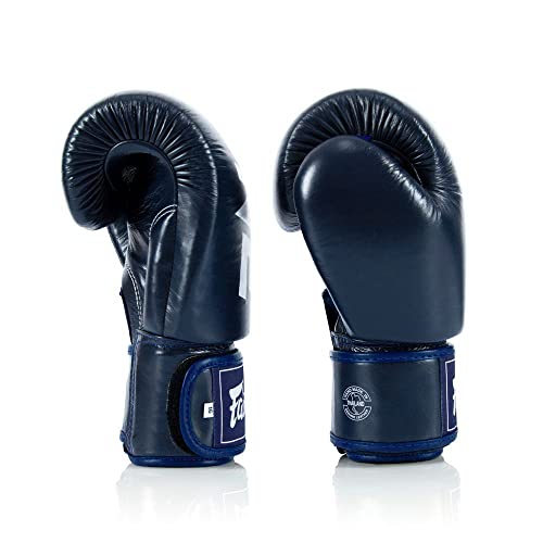 Fairtex BGV1 ONE Muay Thai Boxing Sparring Gloves - color: Blue, size: 10 oz