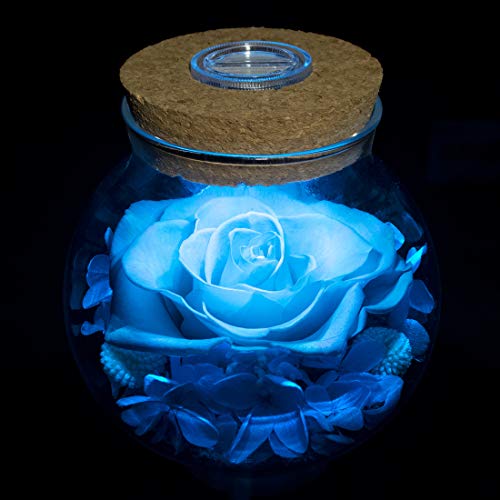 Preserved Real Roses with Colorful Mood Light Wishing Bottle,Eternal Rose，Never Withered Flowers, Christmas Anniversary Valentine's Mother's Day,a Gifts for Women 4.3inch 1pcs（Light Blue） - color: Light Blue