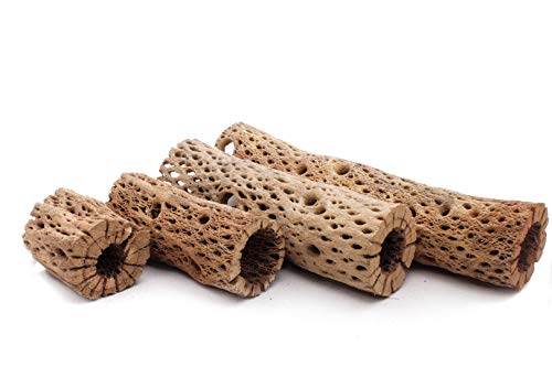 3, 6, 9, 12 Inch All Natural Teddy Bear Cholla Wood Extra Hollow Untreated Organic Aquarium Driftwood Decoration Chew Toy Shrimp Crab Cichlid Nano Tank Birds 1 or 5 Pieces (1 Piece, 9 inch) - size: 1 Piece, 9 inch