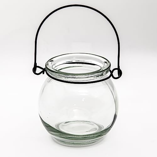 Richland Bubble Hanging Glass Vase Set of 48 - color: Clear, size: 3'' (Set 48)