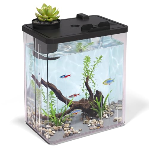 2 Gallon Betta Fish Tank Aquarium Starter Kit with Light and Lid(Black) | Premium Acrylic Aquarium with Light and Lid, Crystal Clear Starter Kit for Betta Fish, Shrimp, Snails and Small Fish - color: Black, size: 2 Gallon
