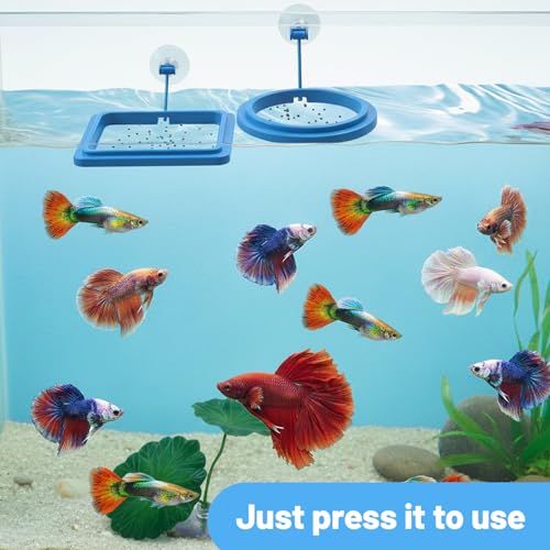2Pcs Fish Feeding Ring, 2 Feeding Ring for Tank with 1pcs Betta Fish Live Plant, Betta Feeder for Aquarium Decor, Goldfish Tank Accessories