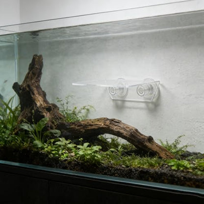 Kichvoe Aquarium Floating Shelf: Fish Tank Acrylic Ledge Plants Holder with Suction Cup - 5.9x4x2in Transparent Ledge for Aquarium Coral Aquatic Plants Moss - size: 15.00X10.00X5.00CM
