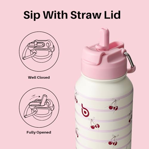 BOTTLE BOTTLE 32oz Insulated Water Bottle with Pill Box | Stainless Steel,Sport Water Bottle, with Straw Dual-use Lid and Pill Box, Design for Gym - color: Happy Cherry