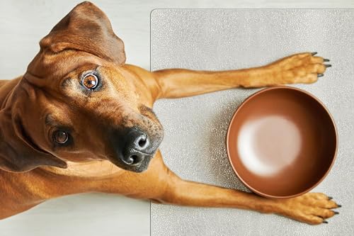 Clear Pet Bowl Mat - USA Made - Waterproof - 22 x 33 Inch - 2mm Thick Pebbled Vinyl - Dog Crate & Bird Cage Mat - color: Riverstone, size: 22 x 33 Inches