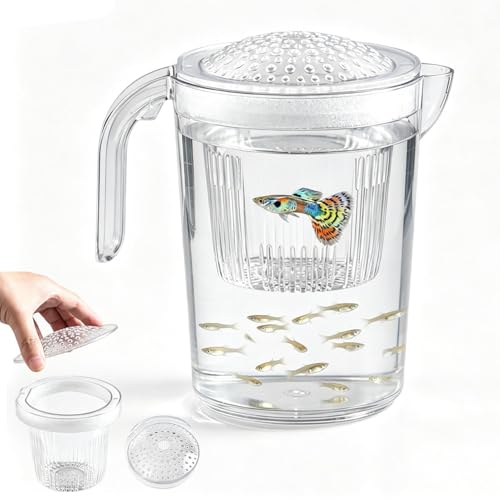 Fish Breeder Box Clear Separator Easy Pour Spout | Fish Viewing Box Hatching Cup for Aquarium Fry Protection Betta Guppy Shrimp Crab Platy Cichlid