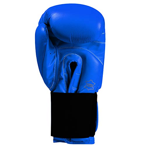Title Classic Leather Elastic Training Gloves 2.0 - color: Blue, size: 18 oz