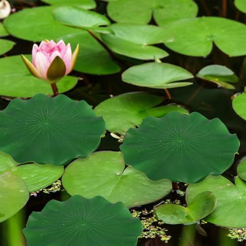 Simulated Lotus Leaves Floating Pond Decoration 5pcs Set 10-38cm Artificial Fish Tank Lotus-Leaf Water Lily Pads for Aquarium Garden Water Surface Display