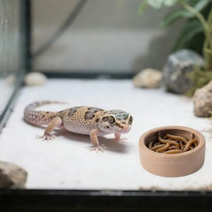 3 Pack Anti-Escape Reptile Food Dish Bowls, Plastic Worm Water Dish | Mealworm Feeder Cups for Small Gecko, Lizards, Bearded Dragon, Chameleon 2.83" W x 2.83" D x 0.98" H, 3 Colors