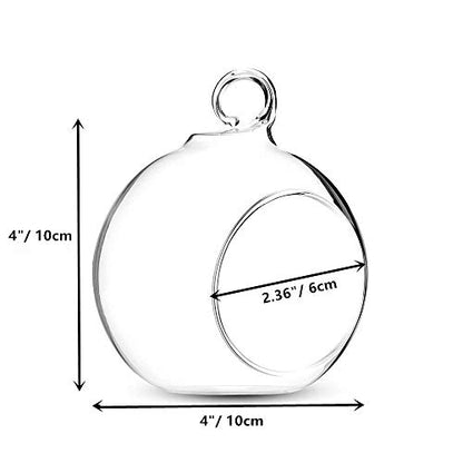 NUPTIO Hanging Glass Terrarium Planters, 4 Pcs, 4 Inch | Clear Round Globes, for Succulents, Air Plants, Votives, DIY Gifts, Window or Garden Decor - size: 4" / 10cm