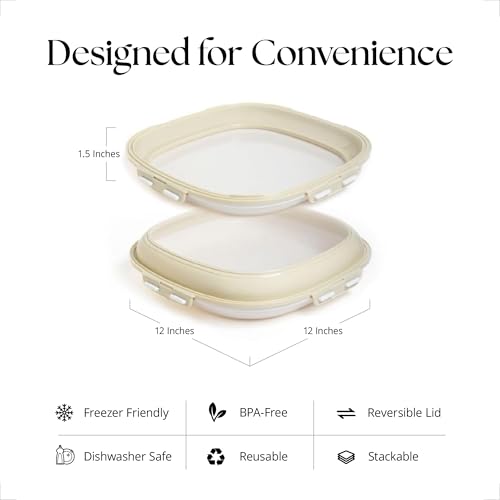 Crudités | Portable Snack Tray | Square 4-Pack | Cream White | Reversible Stretch Lid Food Containers | BPA-Free, Freezer & Dishwasher Safe | Meal-Prep, Charcuterie, Salads, Picnic, Travel - size: Square, 4 Pack, Cream White