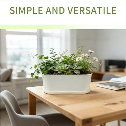 5-Pack White Herb Planter Box with Drip Trays, 8.5 Inch Small Oval Window Planters for Kitchen Sill, Indoor Outdoor, Perfect for Basil, Mint, Succulents, Flowers - size: 5 Pack