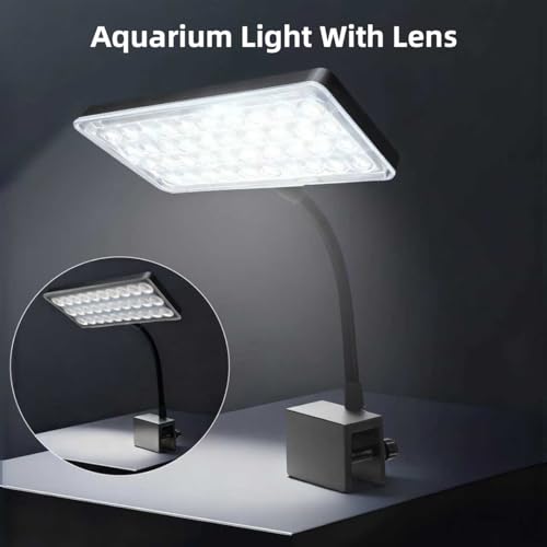 Vimvins 10 Gallon Glass Small Fish Tank with Filter Light and Lid, Aquarium Starter Kit - size: 10 Gallon