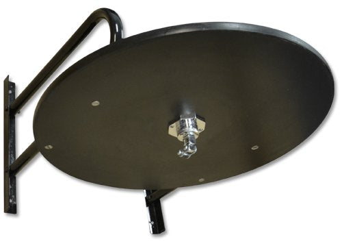 Ring to Cage Speed Bag Platform