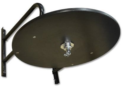 Ring to Cage Speed Bag Platform