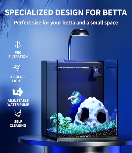 2 Gallon Glass Fish Tank Kit with Hidden Filtration Light Lid Rimless | Black Background, Dry-wet Separation Filtration, Self-cleaning, Ultra-quiet, Adjustable Water Flow, for Betta Shrimp Guppy