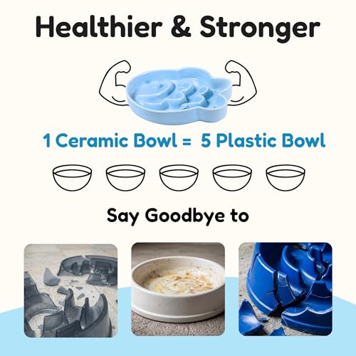 Ceramic Cat Slow Feeder Bowl - Shallow Whisker Friendly Cat Plate for Dry and Wet Food - Puzzle Feeder for Slow Eating - Helps Reduce Vomiting - Microwave & Dishwasher Safe -Non Slip(Blue,6.3''W) - color: Blue