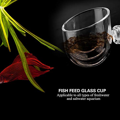 Aquarium Feeding Cup Transparent Fish Feeding Cup with Sucker for Freshwater and Saltwater Fish