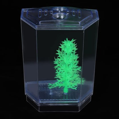 Mini Fish Breeding Box Acrylic Isolation Tank with Dirt Groove for Aquarium Fish Observation and Protection (Single) - size: Single