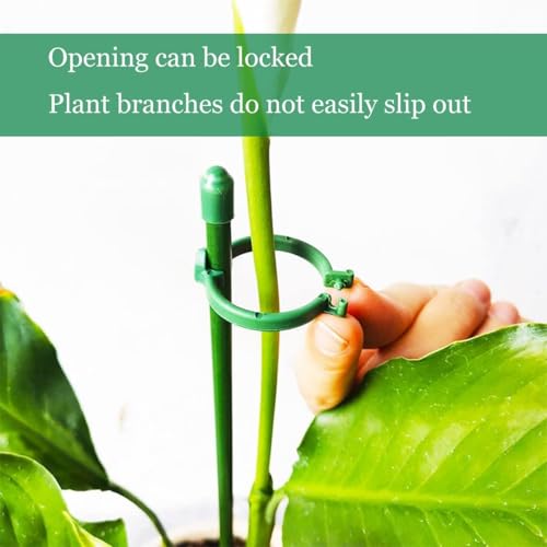 Belit 8 Pack Small Plant Support Plant Stakes, Adjustable Garden Single Stem Support Stake, Planter Support Ring for Orchid, Rose, Peony, Peppers and More, DIY 24 inch - size: 24Inch