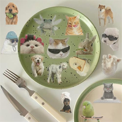 50Pieces Cat Dog Meme Stickers, Funny Animal Transparent PET Sticker Self-Adhesive Scrapbooking Stickers Supplies Journal Stocking Stuffers for Kid Adult Card Making Letters DIY (CDMEME-PET) - color: Cdmeme-pet