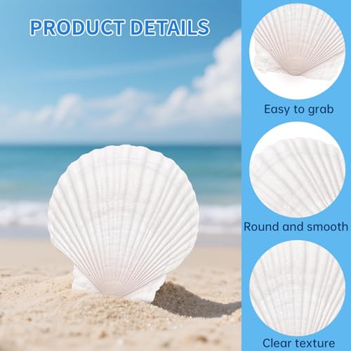 20PCS Natural Scallop Shells for Crafts, 4-5 in White Sea Shells, DIY Decor | Smooth, cleaned surfaces suit painting, resin art, candle making, baking displays, weddings, classrooms and ocean parties. - size: 20PCS (4-5in)
