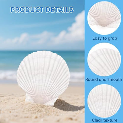 20PCS Natural Scallop Shells for Crafts, 4-5 in White Sea Shells, DIY Decor | Smooth, cleaned surfaces suit painting, resin art, candle making, baking displays, weddings, classrooms and ocean parties. - size: 20PCS (4-5in)
