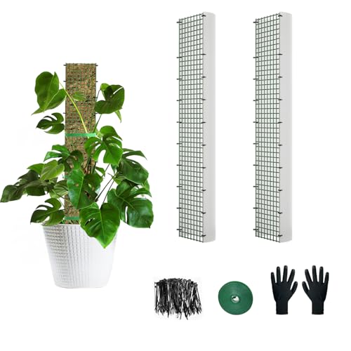 24" Metal Moss Pole, D Shape Sphagnum Moss Pole, Moss Poles for Climbing Plants, Monstera, Indoor Climbing Plants (2Pcs 24") - style: 2Pcs 24"