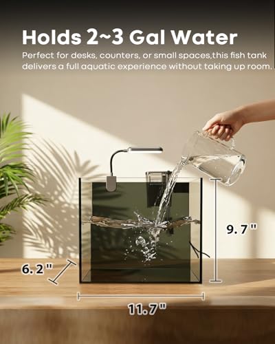 3 Gallon Aquarium Set Small Fish Tank Glass, Starter Kit with Heater Water Pump Cleaning Filter Bright Light Rocks Gravel Cleaning Tool, Leak-Proof Clear Rimless Desktop Spaces Saving Betta Fish - size: 3 gallon